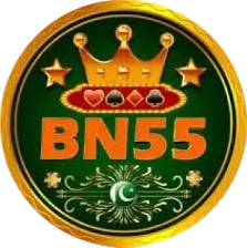 BN55 Logo